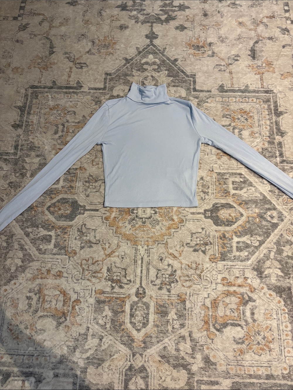 Aritzia Sunday Best Light Blue Long-Sleeve Turtleneck Top